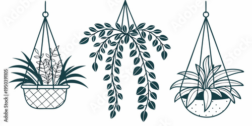 Three hanging plants with different foliage in hanging pots