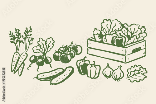 Vegetable crate set outline sketch vector illustration