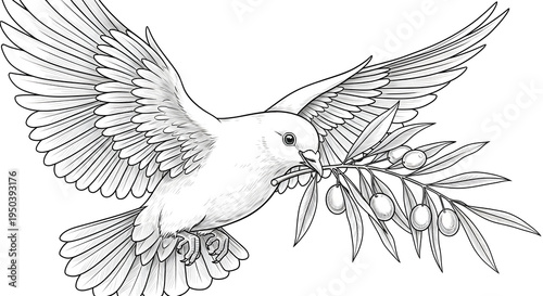 A dove flying with an olive branch in its beak on transparent background