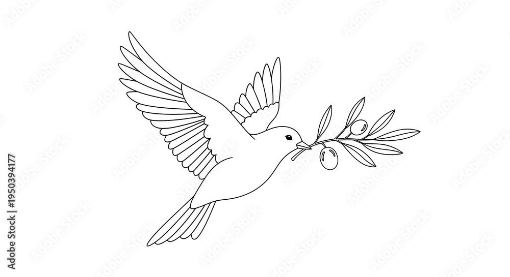Fototapeta premium A dove is flying with an olive branch in its beak on transparent background