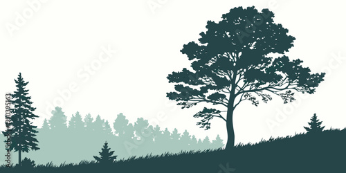 Silhouettes of tall trees against a distant mountain range at sunset.