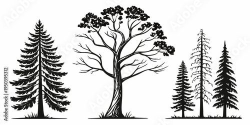 A collection of various types of trees in a black and white illustration