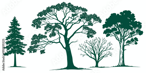 Four distinct trees showcasing the diversity of nature's foliage and growth patterns