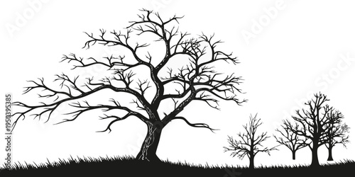 Silhouette of a majestic tree standing tall against a clear sky