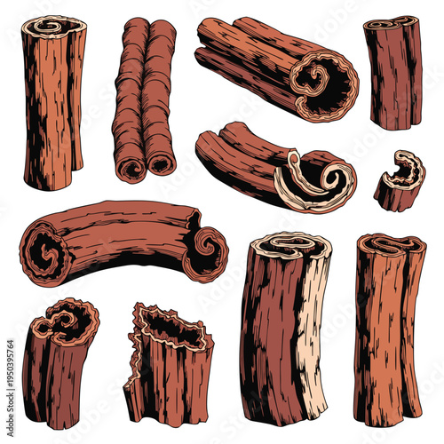 Vintage Hand-Drawn Cinnamon Sticks Spice Collection Set Vector Illustration