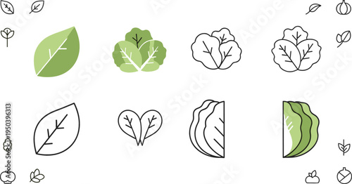 Lettuce Leaf Icon Set with Fresh Salad Greens, Botanical Leaves and Minimal Healthy Food Symbols Vector Illustration Collection