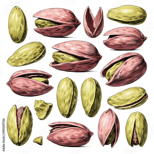 Vintage Hand-Drawn Pistachio Nuts Variety Set Vector Illustration