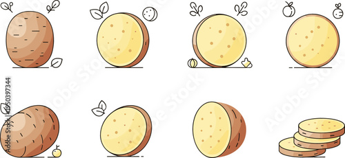 Potato Vegetable Icon Set with Whole Potato, Half Cut Tuber and Sliced Pieces Minimal Food Vector Illustration Collection