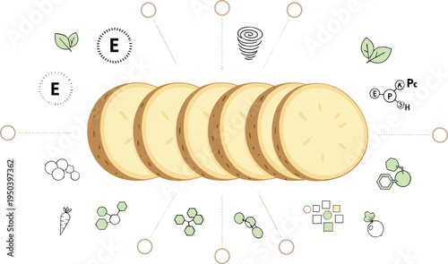 Potato Nutrition Concept with Sliced Potato, Vitamins, Minerals and Healthy Vegetable Food Nutrient Infographic Vector Illustration