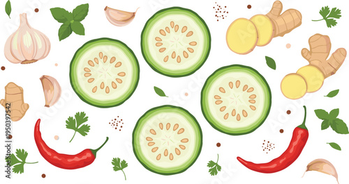 Sponge Gourd Slices with Garlic, Ginger, Chili Pepper and Herbs Cooking Ingredients for Healthy Vegetable Recipe Vector Illustration