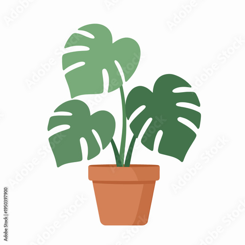 Flat vector illustration of a single potted monstera deliciosa plant in a terracotta pot, minimalist indoor houseplant for home decor and wellness concept, isolated on white background.