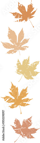 Autum leaves set collection, dry leaves design, nature collection