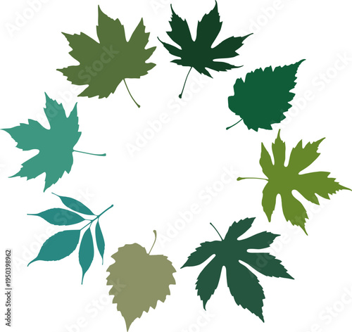 Autum leaves set collection, dry leaves design, nature collection