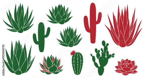 Desert Plants Collection: Cacti and Succulents in Green and Red