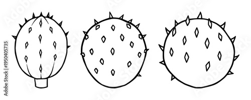 Whole prickly pear cactus fruit set with flat vector icon and bold black borders featuring exotic fruit, cactus, illustration, vector, desert