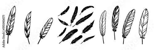 Feather icons set with black feather illustrations featuring vector, line art, minimal clean design with icons and symbols
