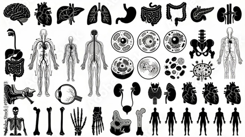 Human Body Organs Collection Anatomy Medical Science Vector Illustration Set