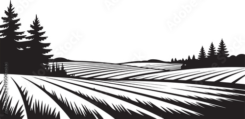 Rural landscape with tilled fields and pine trees, agricultural farm scene, nature and countryside view