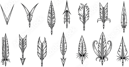 A collection of various feather quill illustrations on transparent background