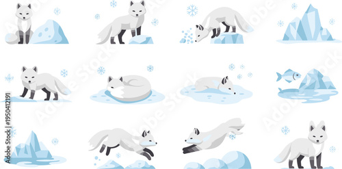 Arctic Fox Wildlife Illustration Set Featuring Sitting, Walking, Jumping, Hunting, and Resting Poses in Snowy Winter Landscape with Ice and Snowflakes.