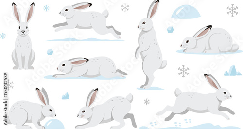 Arctic Hare Wildlife Illustration Set Featuring Running, Sitting, Standing, and Jumping Poses of White Winter Rabbit in Snowy Polar Landscape.