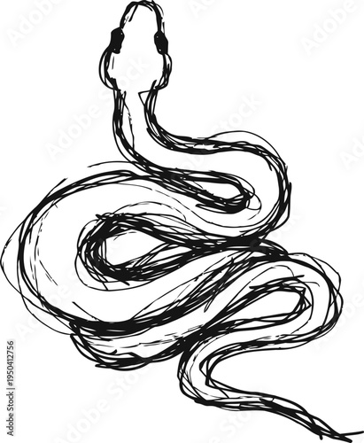 abstract sketch of a coiled snake with minimalist black ink lines on white background