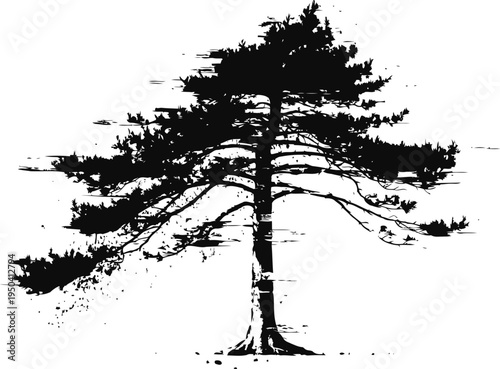 Silhouette of a pine tree with sparse branches and textured bark in black and white