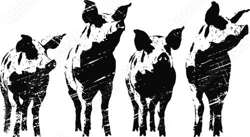 Four black silhouette pigs standing side by side on white background, farm animal illustration