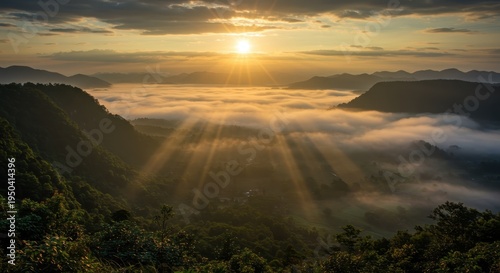 Brilliant sunbeams pierce through morning mist settled over forested mountain valleys.