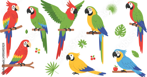 Colorful Parrot Cartoon Bird Collection Featuring Tropical Macaw Characters Sitting Flying and Perching with Jungle Leaves Cute Wildlife Illustration Set