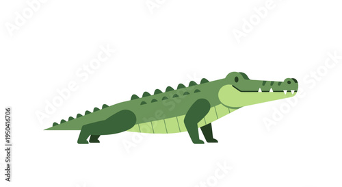 Green cartoon crocodile standing sideways.