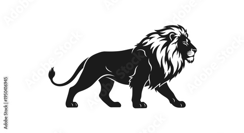 Black lion walking profile view.