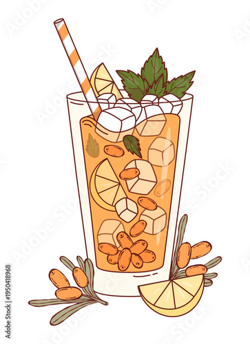 Sea Buckthorn Lemonade with Ice Cubes, Orange Berry, Mint and Citrus. Refreshing Drink in Highball Glass with Cocktail Straw. Vector Illustration. Isolated on White