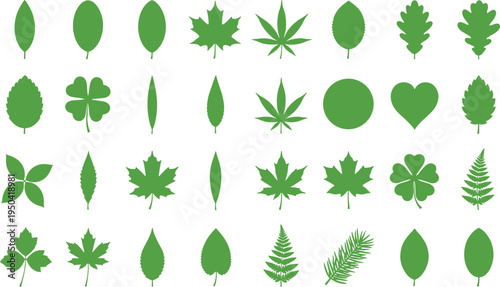 Large set of green leaf silhouettes featuring maple, oak, fern, clover, and cannabis shapes for nature design, forest environment illustrations, spring botanical projects, and organic branding.