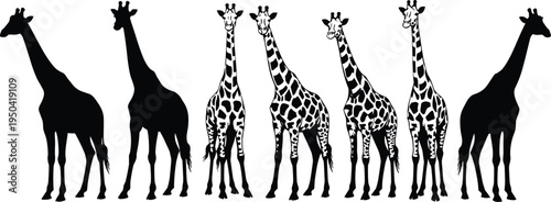Set of giraffe silhouettes featuring solid black and patterned safari animal designs for wildlife conservation projects, African zoo branding, nature education graphics, and savanna 