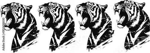 roaring tiger head illustration set in black and white style, wildlife predator animal, fierce and powerful design