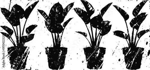 silhouettes of potted houseplants with broad leaves in varied shapes and sizes