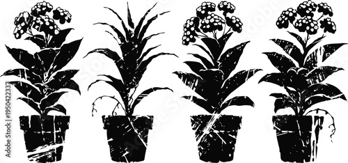 Four silhouette potted plants with flowers and leaves in black and white arrangement