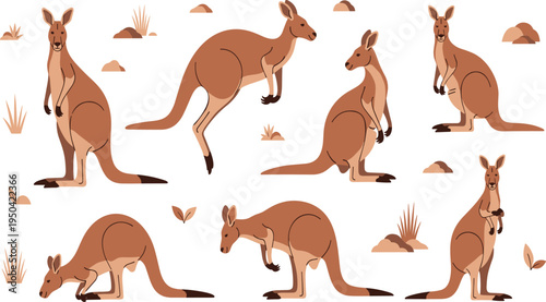 Kangaroo Wildlife Illustration Set Featuring Standing, Jumping, Walking, and Grazing Poses of Australian Marsupial Animals in Natural Outback Habitat.