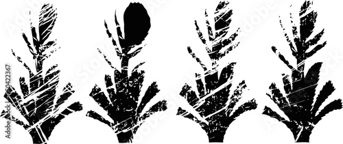 abstract black feather silhouettes with artistic brush stroke textures on white background