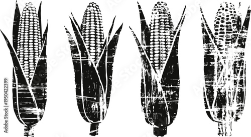Four vintage black corn cobs with husks set in grunge texture design