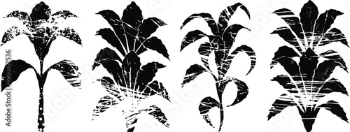 Four exotic tropical plants silhouette set with detailed leaves and stems illustration on white background