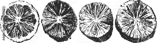 detailed black and white illustration of citrus fruit slices arranged in a row, showcasing texture and segment patterns
