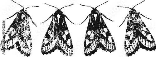 Black silhouette set of moth insect illustrations with detailed wing patterns and antennae