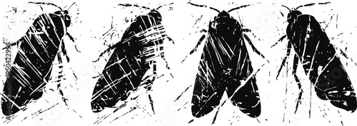 Close up silhouette illustrations of cockroaches in various positions on a white background