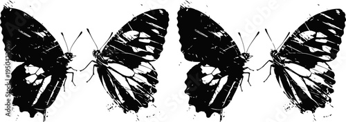black and white butterfly silhouettes facing each other with detailed wing patterns