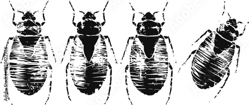 four black and white roach illustrations showing different positions and details of the insect