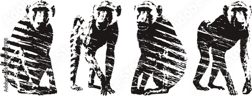 various monkey silhouettes in different crouching and walking poses isolated on white background