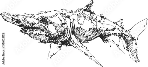 shark wrapped in barbed wire illustration dangerous marine animal caught in trap concept