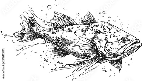 Detailed black and white illustration of a fish swimming with textured scales and fins